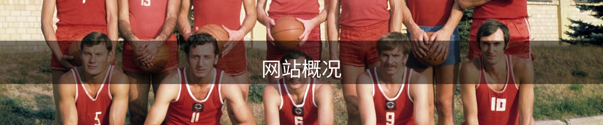网站概况